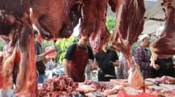 أسعار اللحوم في أسواق مطروح السبت 13-12-2025: المبردة بـ280 جنيه